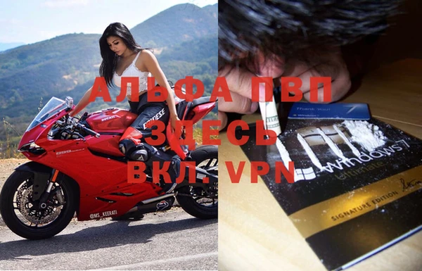 винт Абаза