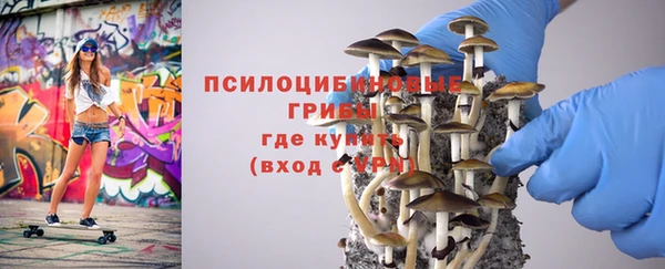 винт Абаза