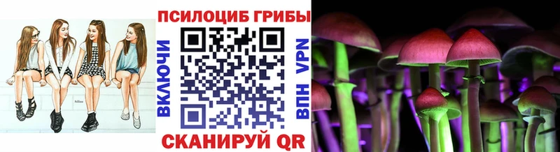Псилоцибиновые грибы Psilocybine cubensis  Алатырь 
