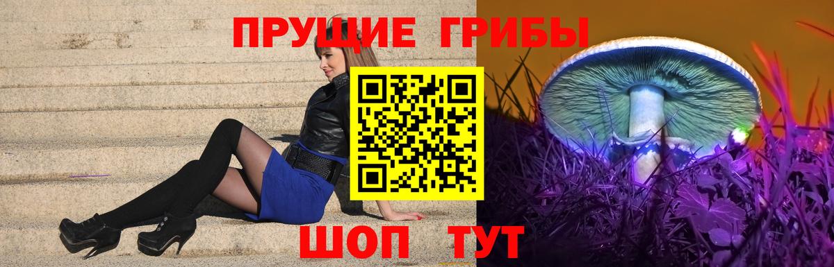 Галлюциногенные грибы мицелий Алатырь