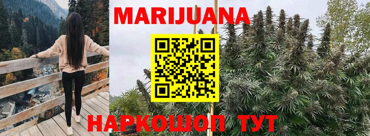 Канабис ГИДРОПОН  Вход с VPN  МАРИХУАНА Bruce Banner  Алатырь 